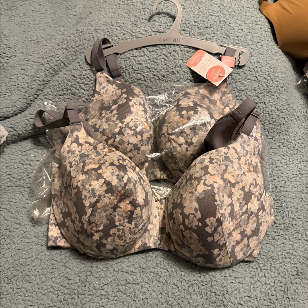 Cacique Women's Floral Pattern Bra - Gray and Cream